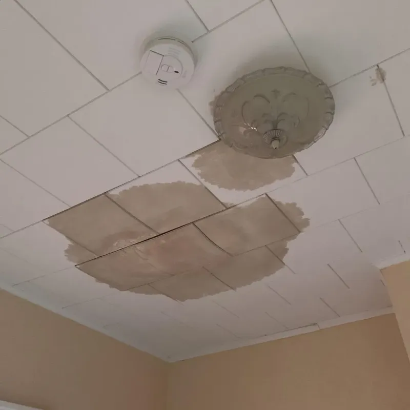 Ceiling Water Damage Repair in Charles City, VA
