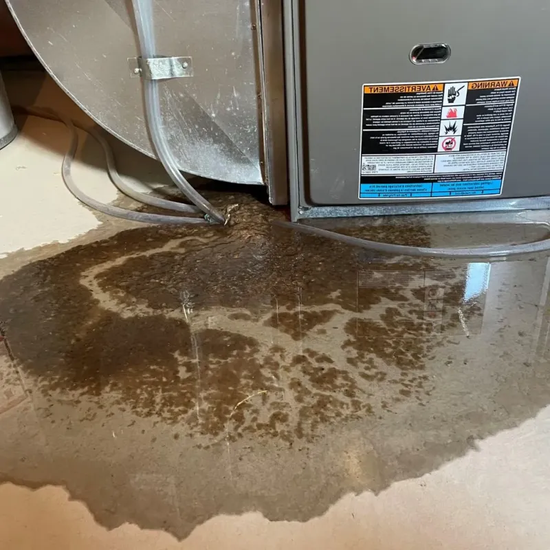 Pipe Burst and Leak Restoration in Charles City, VA