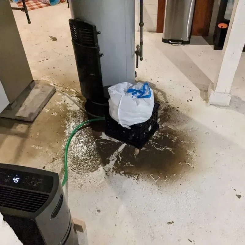 Sewage Backup Cleanup Service in Charles City, VA